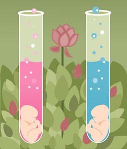 俄罗斯生殖试管代怀(俄罗斯生殖试管代怀：新生命的奇迹)