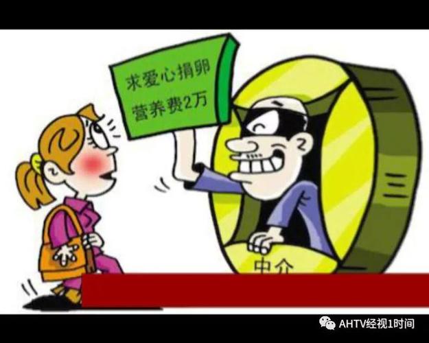 供卵犯罪吗【供卵犯罪吗：法律与伦理的边界】