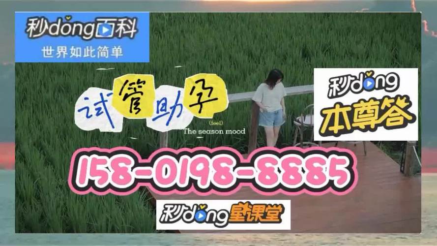二胎想试管代怀(二胎梦想实现:试管代怀全攻略)