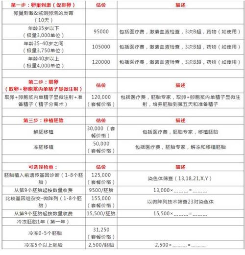 个人试管代怀费用(个人试管代怀费用解析及比较)