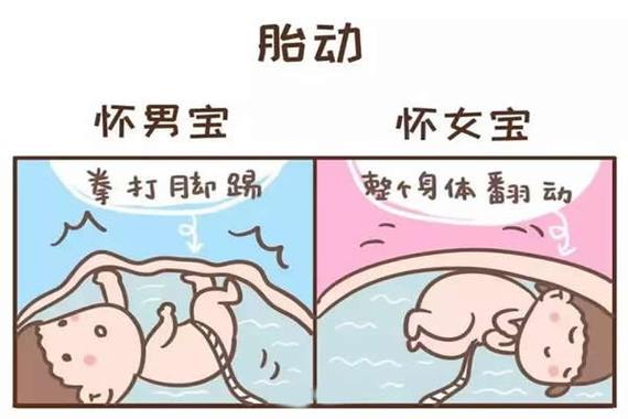 代怀一个男孩多少费用-代怀一个男孩多少费用?