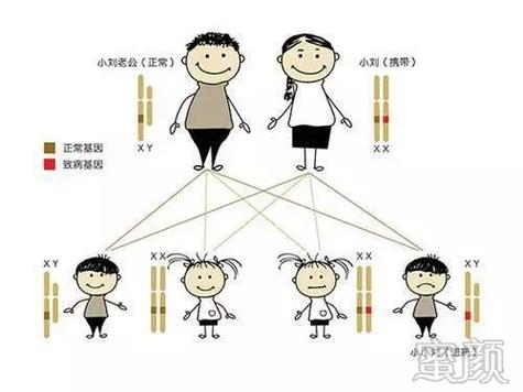 供卵的孩子有遗传母体基因吗_供卵孩子是否具有母体基因传承?
