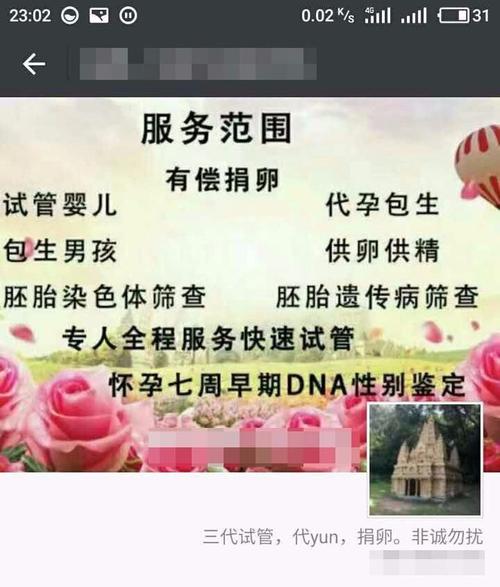 个人试管代怀妈妈网站(个人试管代怀妈妈网站专业服务平台)