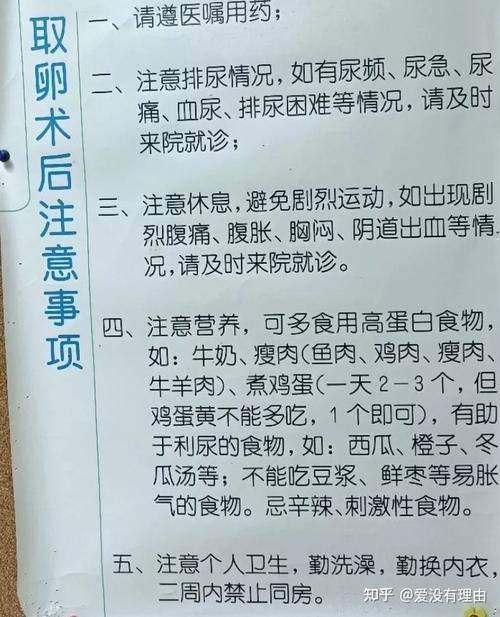 个人求试管代怀【个人求试管代怀:私人定制的生育方案】