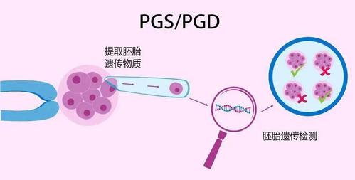 第二代试管代怀成功率【第二代试管代怀孕成功率解析】